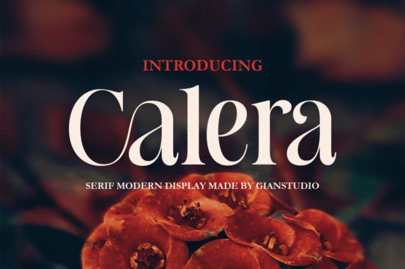 Calera: A Timeless Font for Business Branding