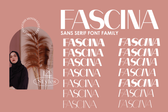 Fascina: A Stylish Font for Web Design