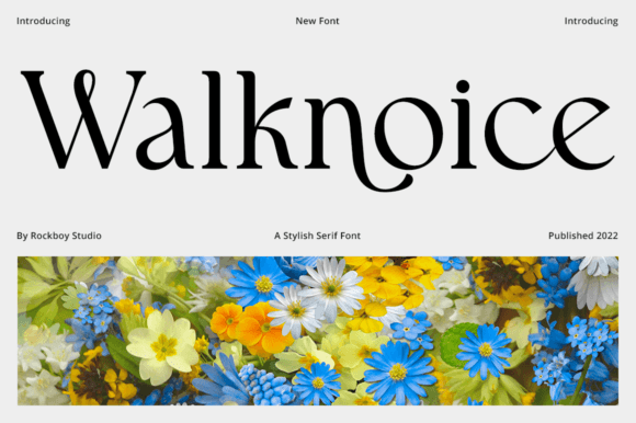 Walknoice: A Typeface That Elevates Your Brand Messaging